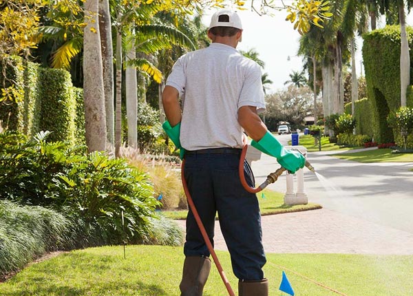 About Atkinson NC Pest Control